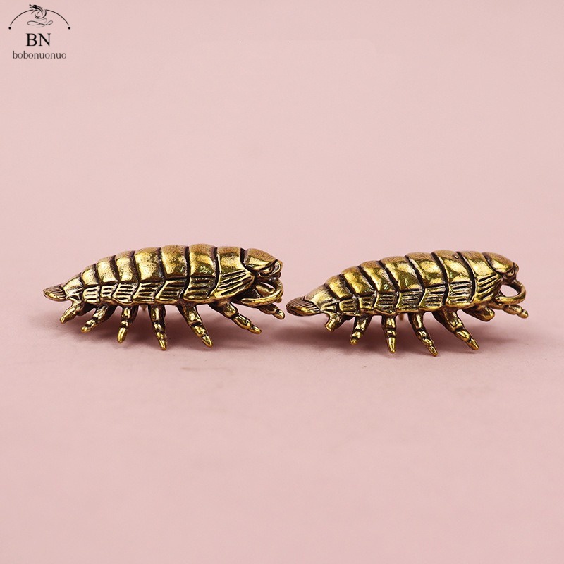 23.2g 거대한 Isopod 단단한 황동 생활 화석  - Desk Setup Design 리뷰 및 가격